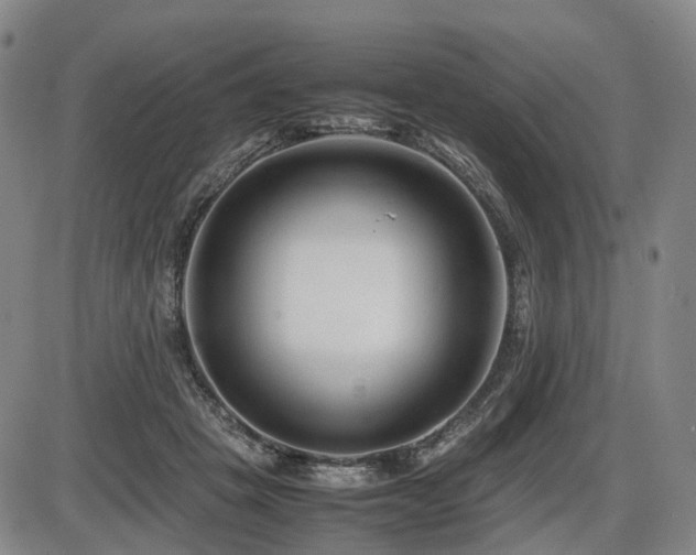 X0000086290457200703301140