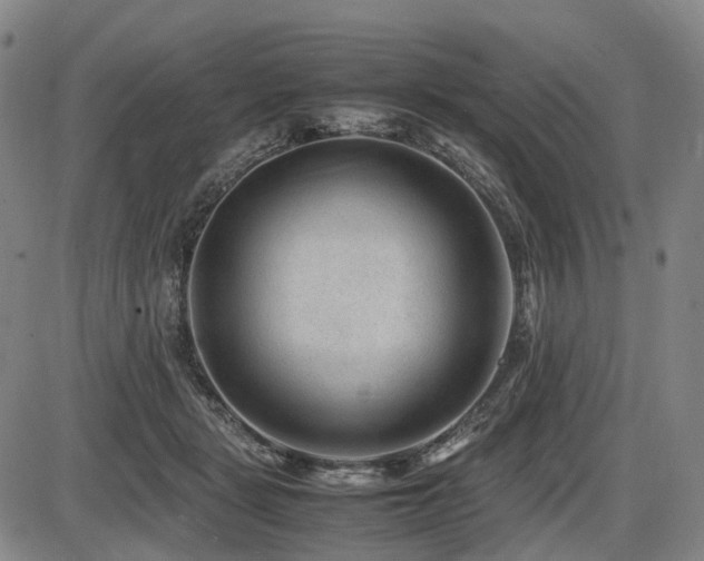 X0000086290461200703301140