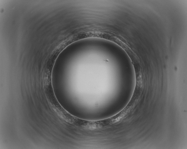 X0000086290464200703301140