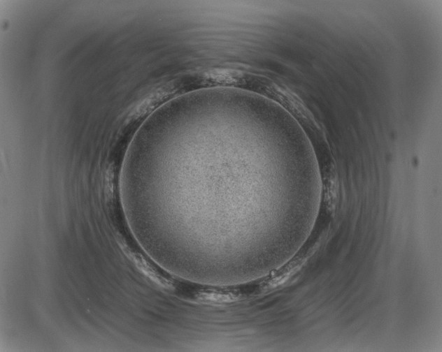 X0000086290466200703301140