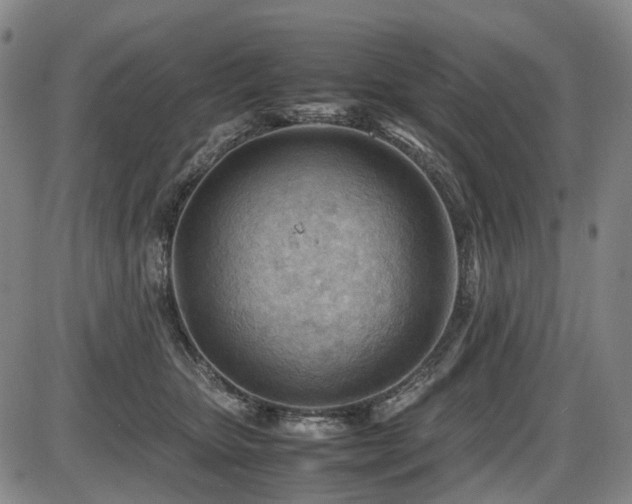 X0000086290467200703301140