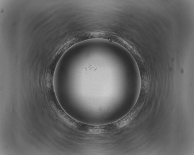X0000086290470200703301140