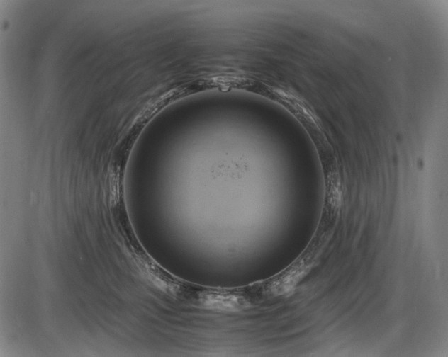 X0000086290471200703301140