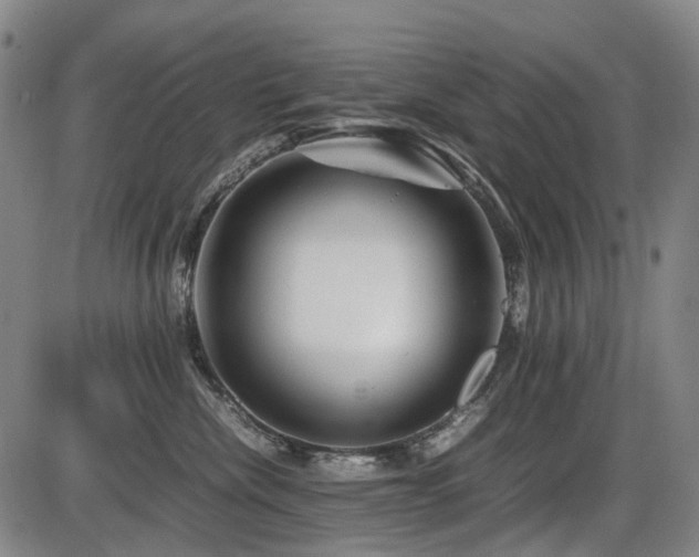 X0000086290476200703301140