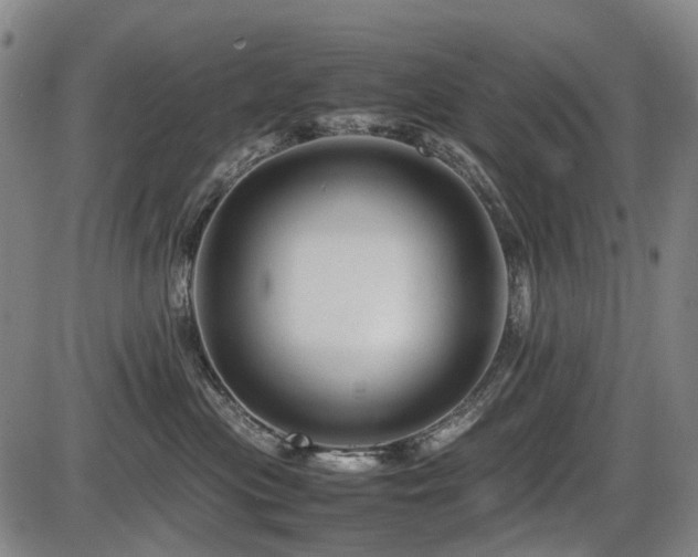 X0000086290477200703301140