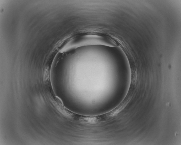 X0000086290478200703301141