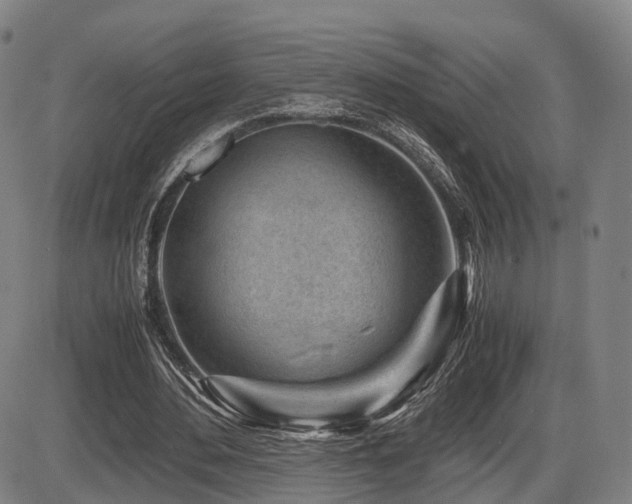 X0000086290484200703301140