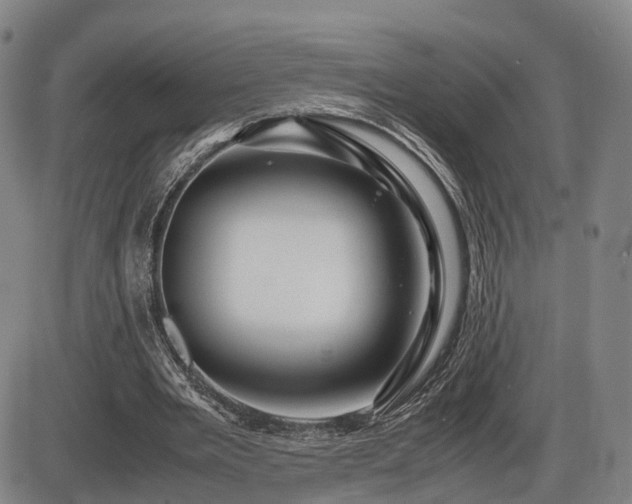 X0000086290485200703301140