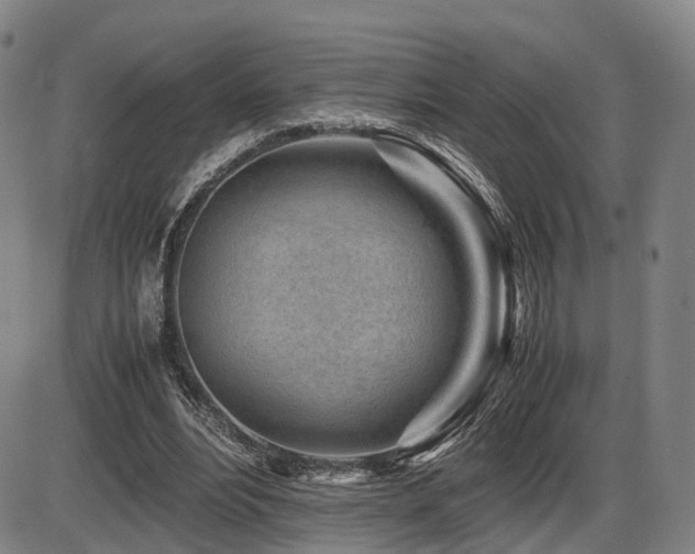 X0000086290488200703301140