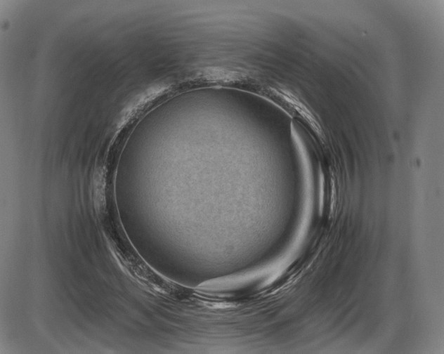 X0000086290492200703301140