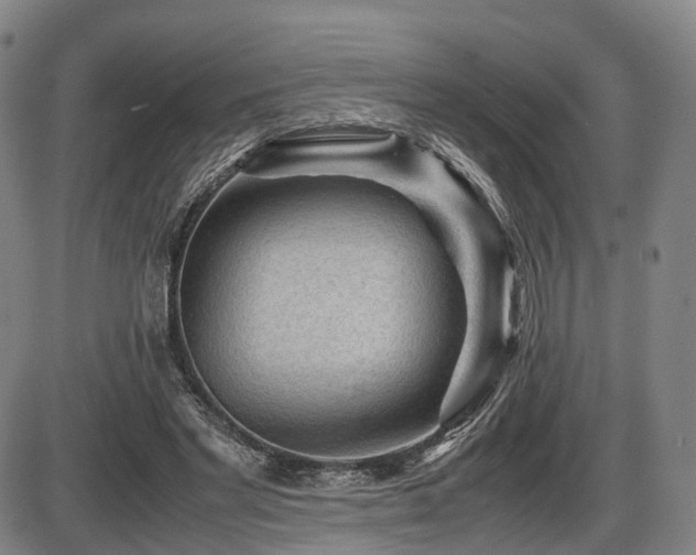 X0000086290493200703301140