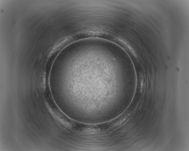 X0000086290494200703301140