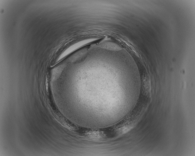 X0000086290499200703301139