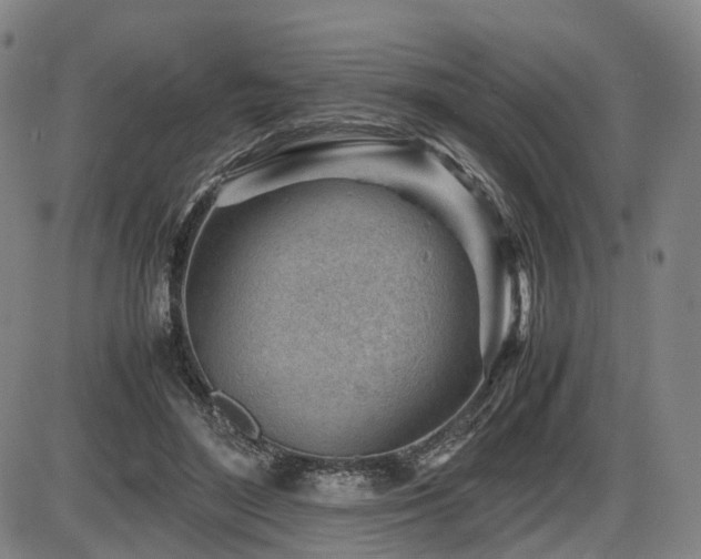 X0000086290500200703301139