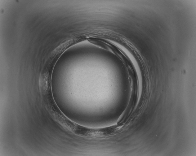 X0000086290501200703301139