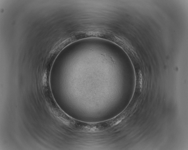 X0000086290502200703301139