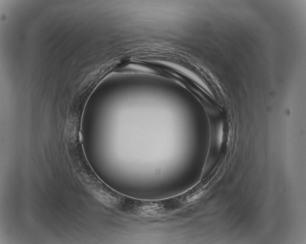X0000086290505200703301139