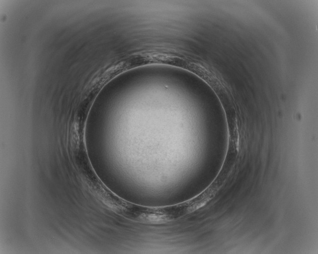 X0000086290506200703301139