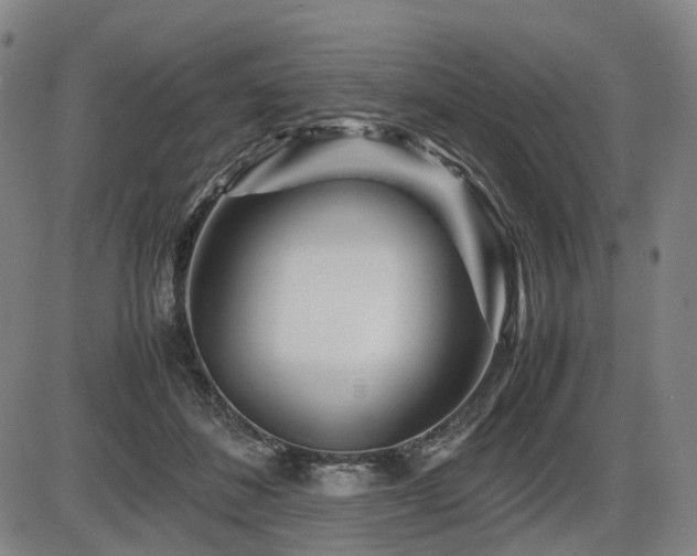 X0000086290508200703301139