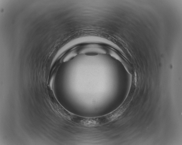 X0000086290512200703301139