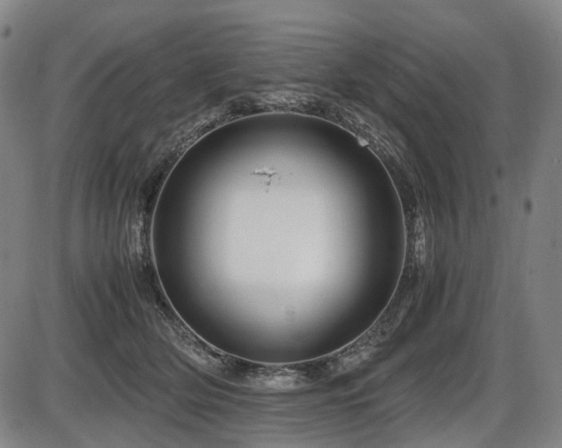 X0000086290514200703301139