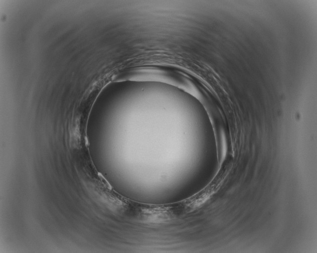 X0000086290516200703301139