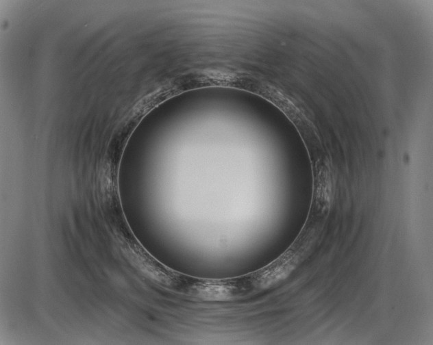 X0000086290518200703301139