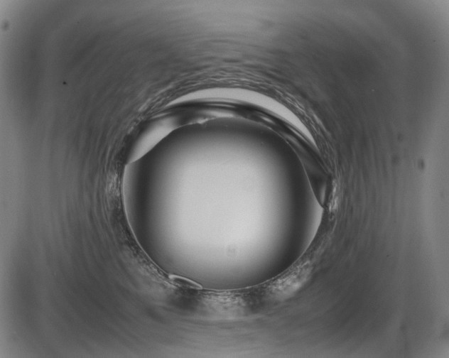 X0000086290521200703301139