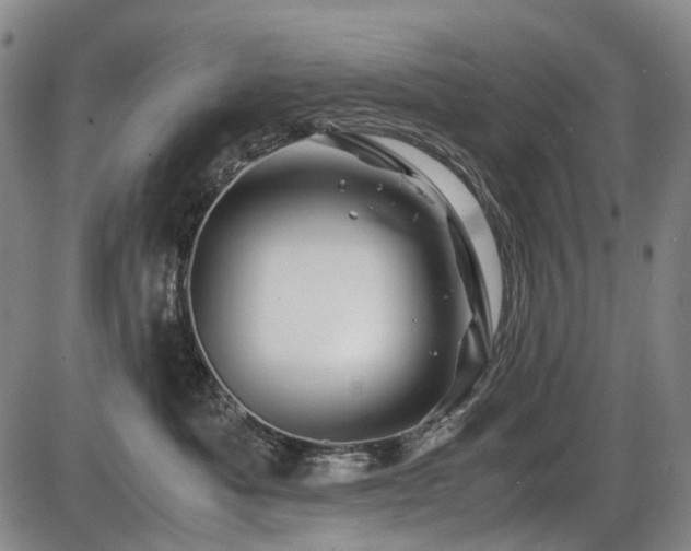 X0000086290525200703301139