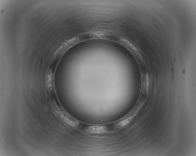 X0000086290526200703301139