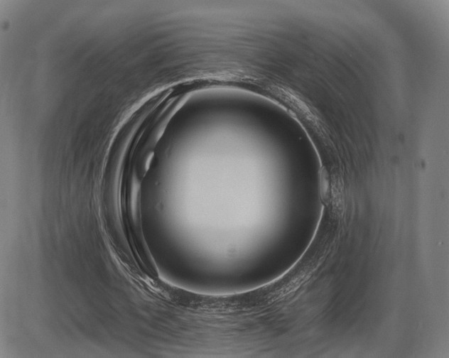 X0000086290532200703301138