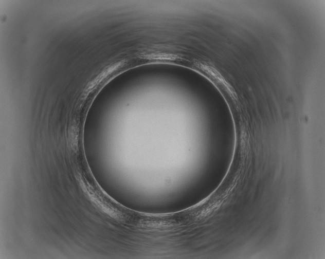 X0000086290533200703301138