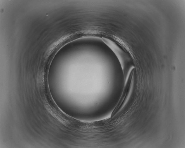 X0000086290535200703301138