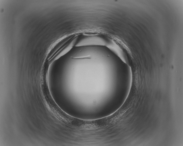 X0000086290536200703301138