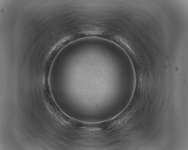 X0000086290539200703301138