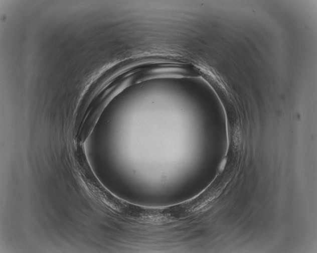 X0000086290540200703301138