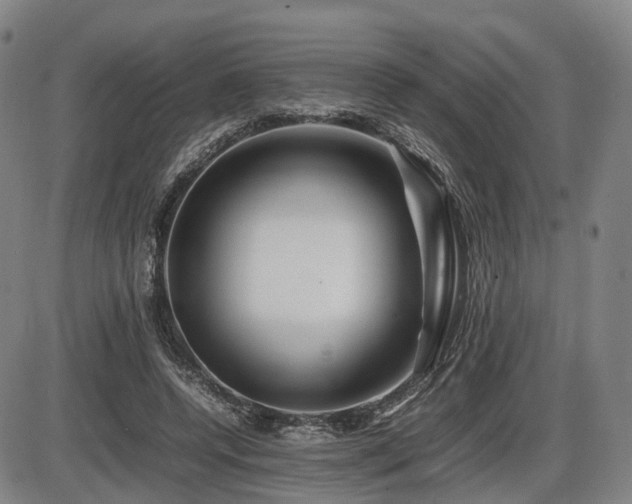 X0000086290544200703301138