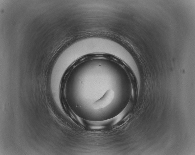 X0000086290546200703301138