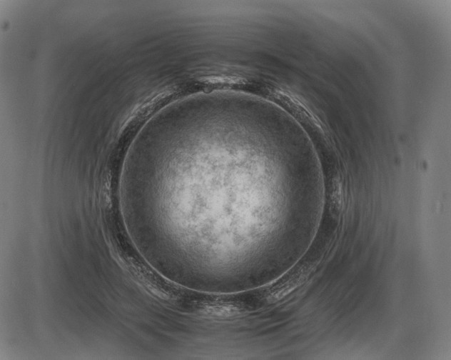 X0000086290547200703301138