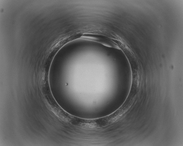 X0000086290548200703301138