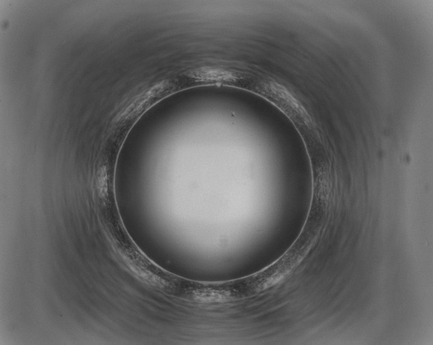 X0000086290549200703301138