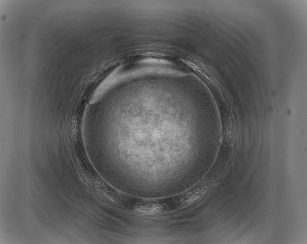 X0000086290551200703301138