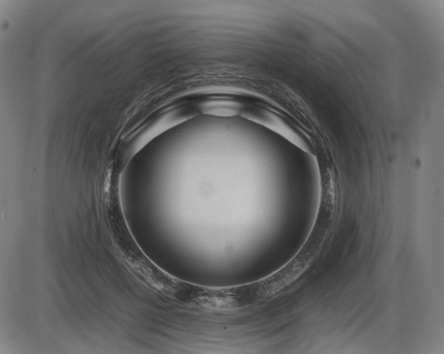 X0000086290552200703301139