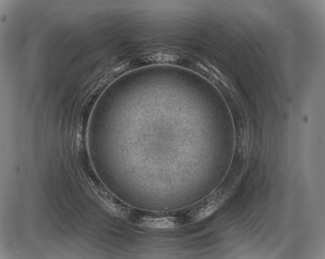 X0000086290553200703301139