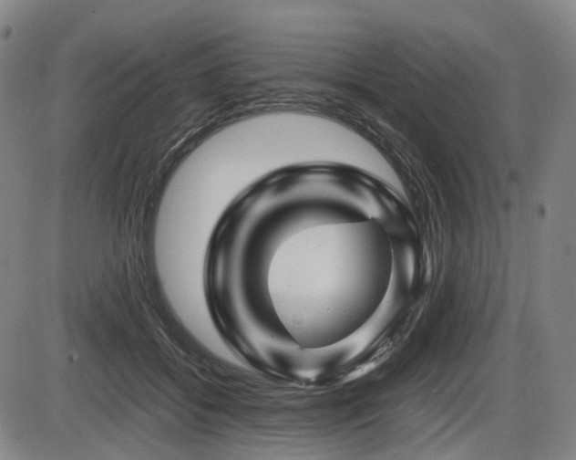 X0000086290556200703301139