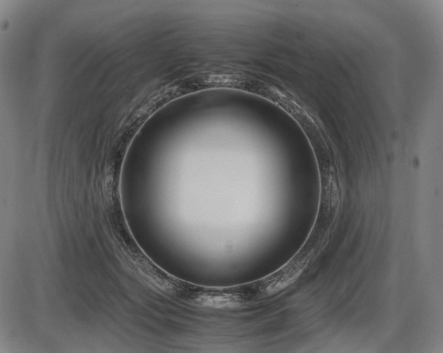 X0000086290557200703301139
