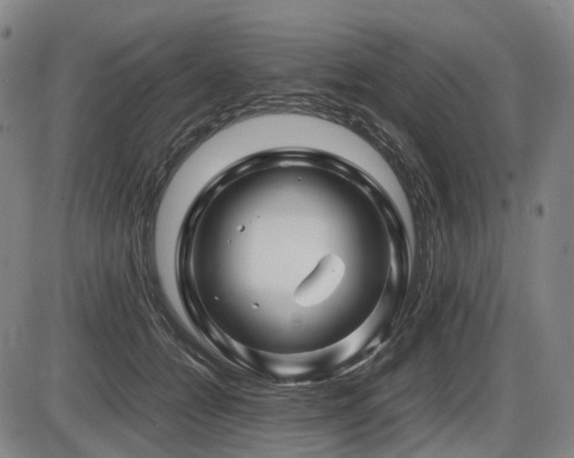 X0000086290558200703301139