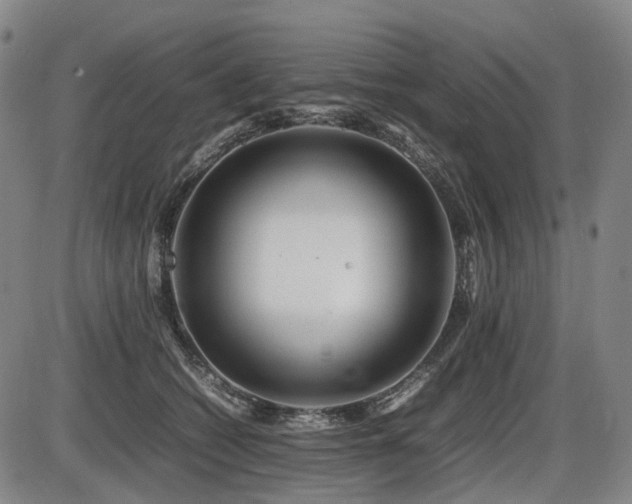 X0000086290562200703301139