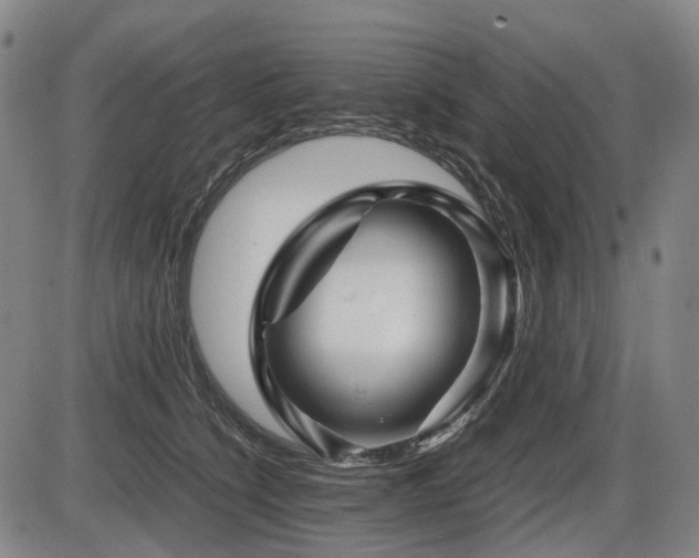X0000086290564200703301139