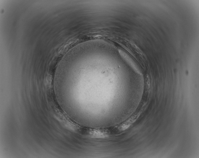 X0000086290565200703301139
